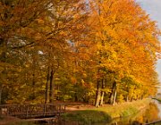 Kranekamp, Diepenveen  (c) Henk Melenhorst : Herfst, Kranenkamp